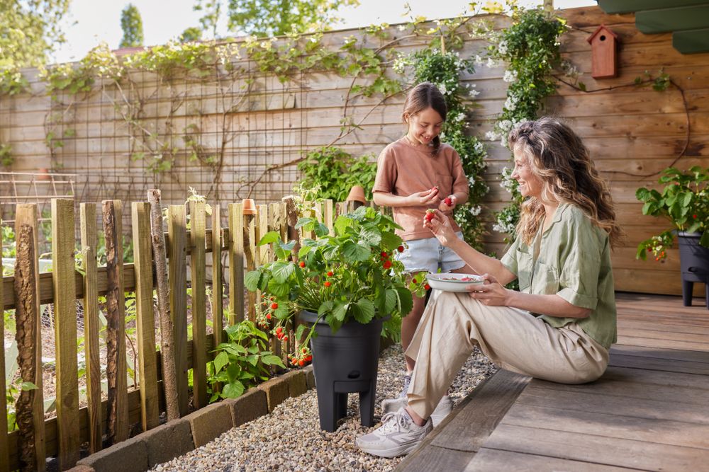 Green Basics Pot À Fraises 33