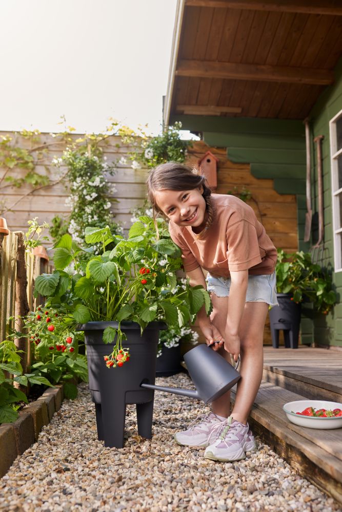 Green Basics Pot À Fraises 33