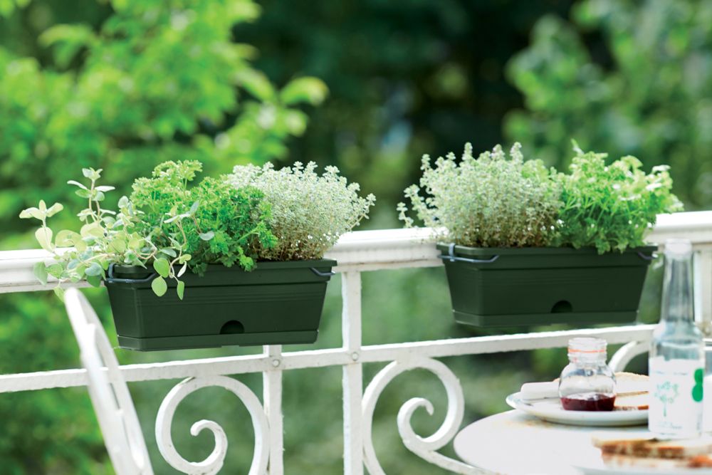 Green Basics Balcon Mini Allin1 30