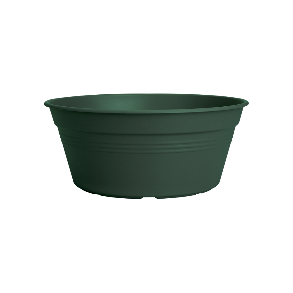 Green Basics Coupe 33