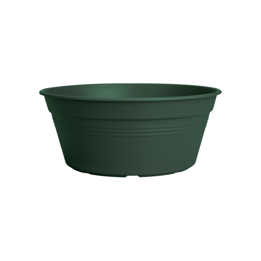 Green Basics Coupe 33