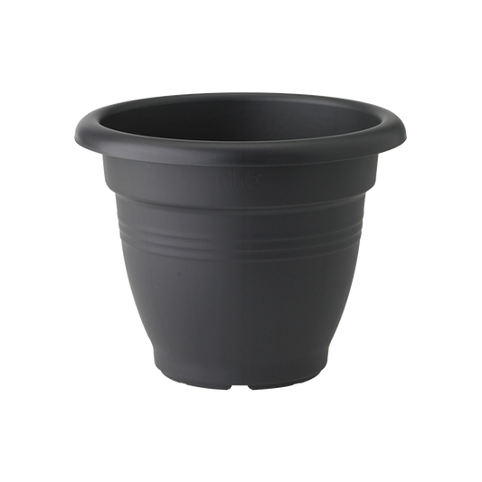Green Basics Campana 30