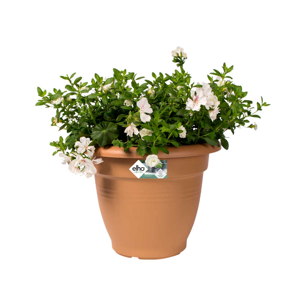 Green Basics Campana 40