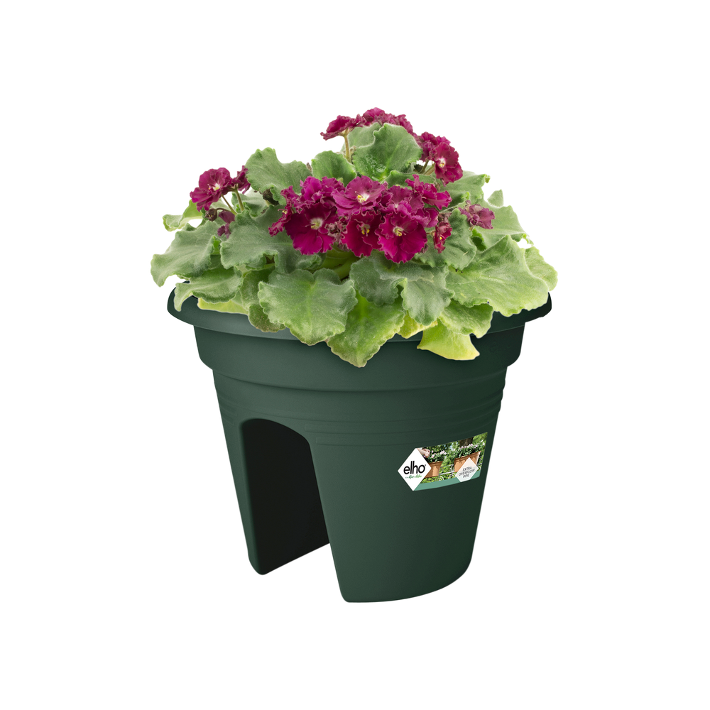 Green Basics Flower Bridge 30