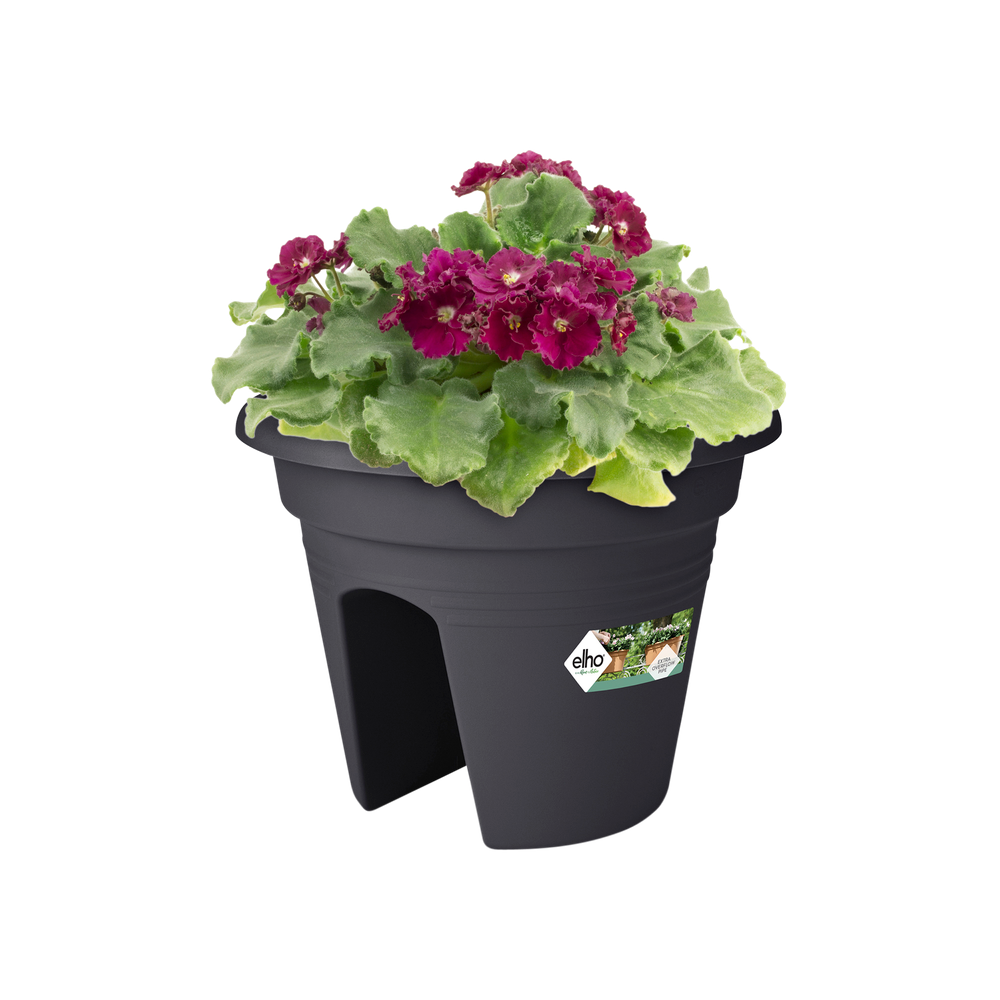 Green Basics Flower Bridge 30