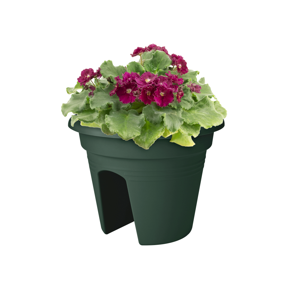 Green Basics Flower Bridge 30