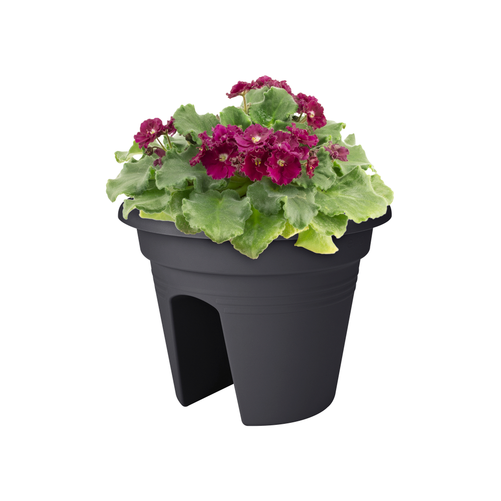 Green Basics Flower Bridge 30