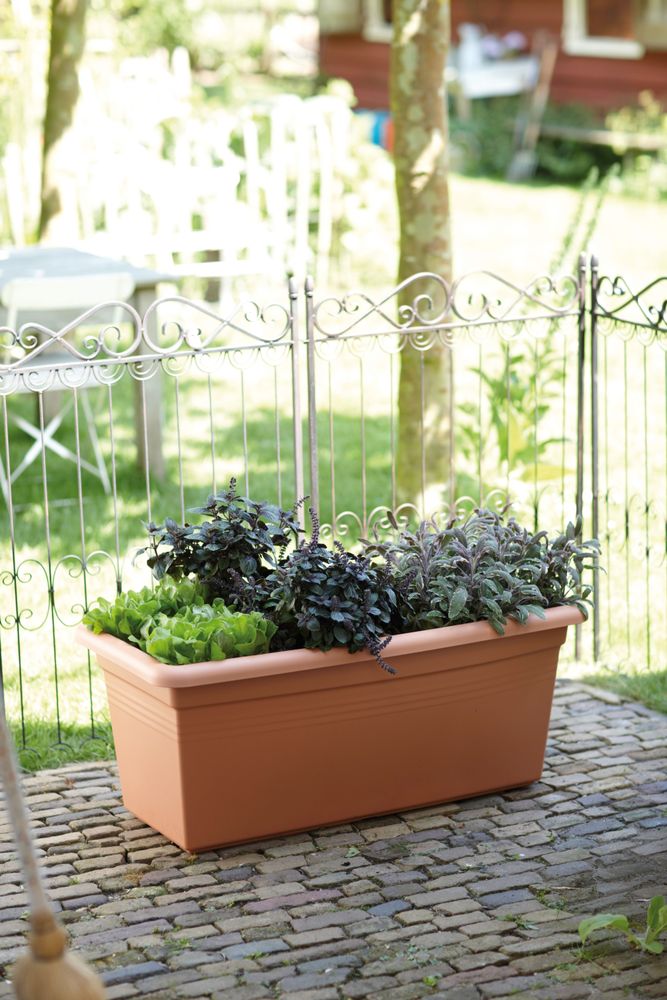 Green Basics Jardin Xxl 100