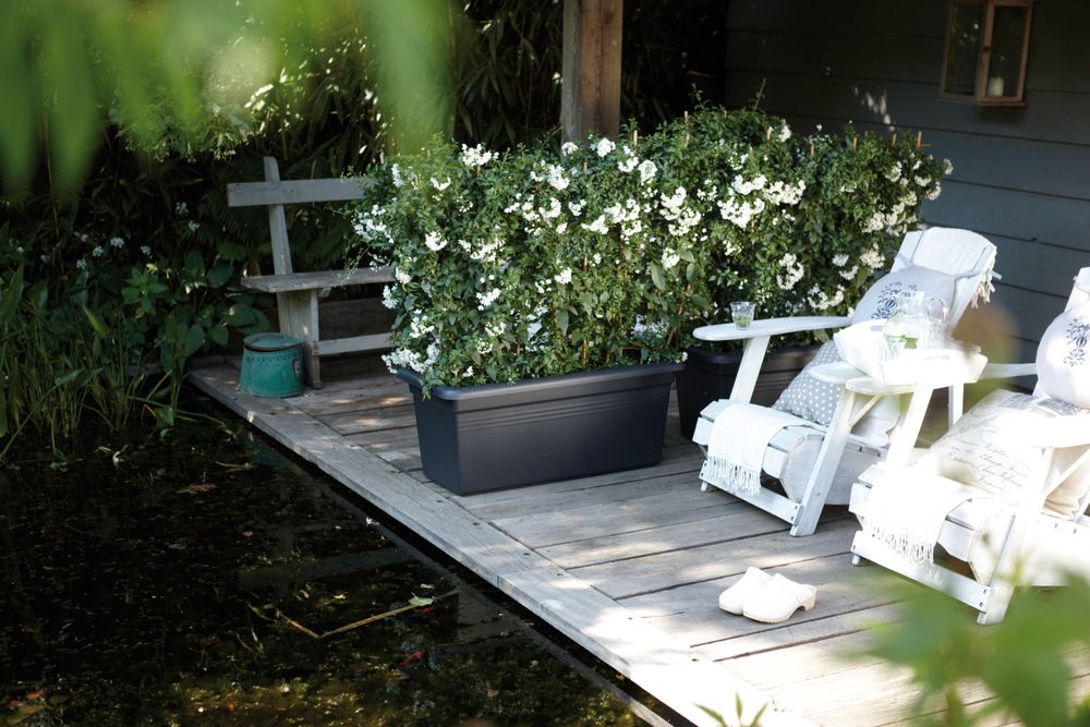 Green Basics Jardin Xxl 60