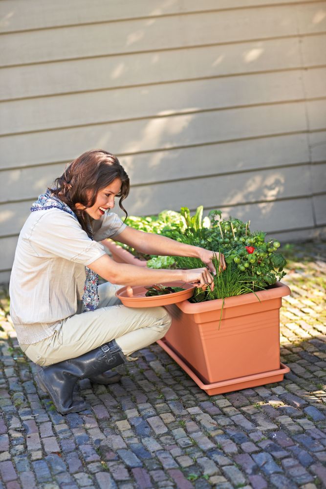 Green Basics Jardin Xxl Soucoupe 100
