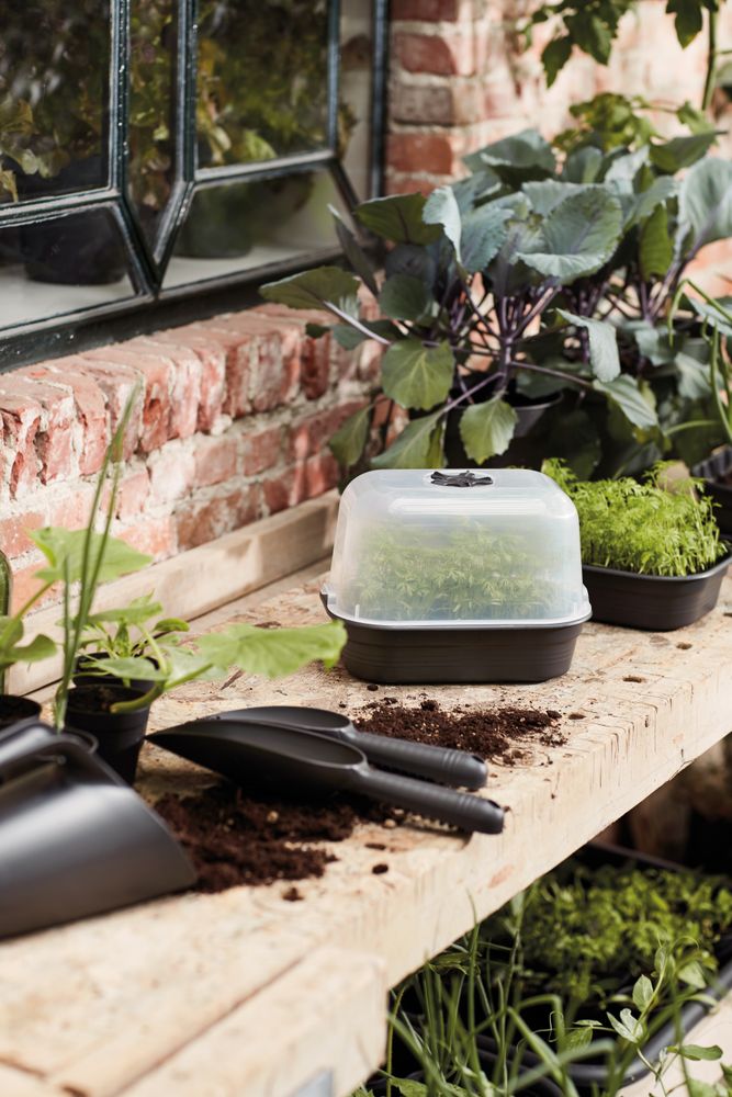 Green Basics Serre De Culture S