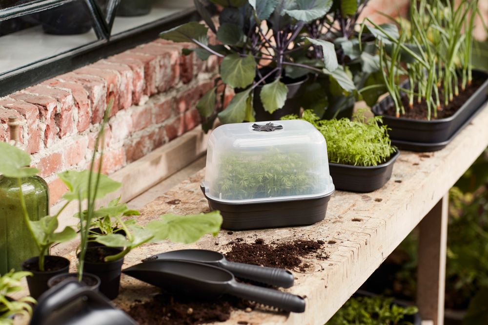 BNDL Gb Gyo Set S + Etiquette À Planter