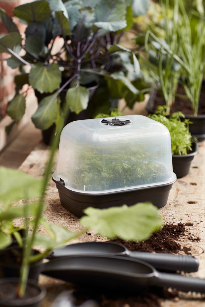 Green Basics Serre De Culture S