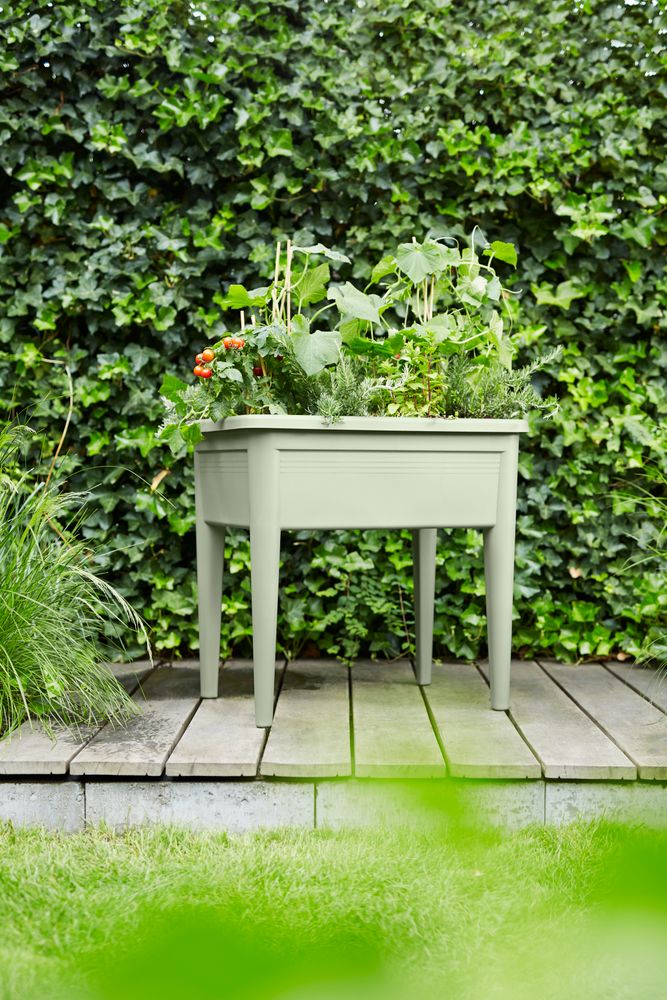Green Basics Table De Culture Xxl 75