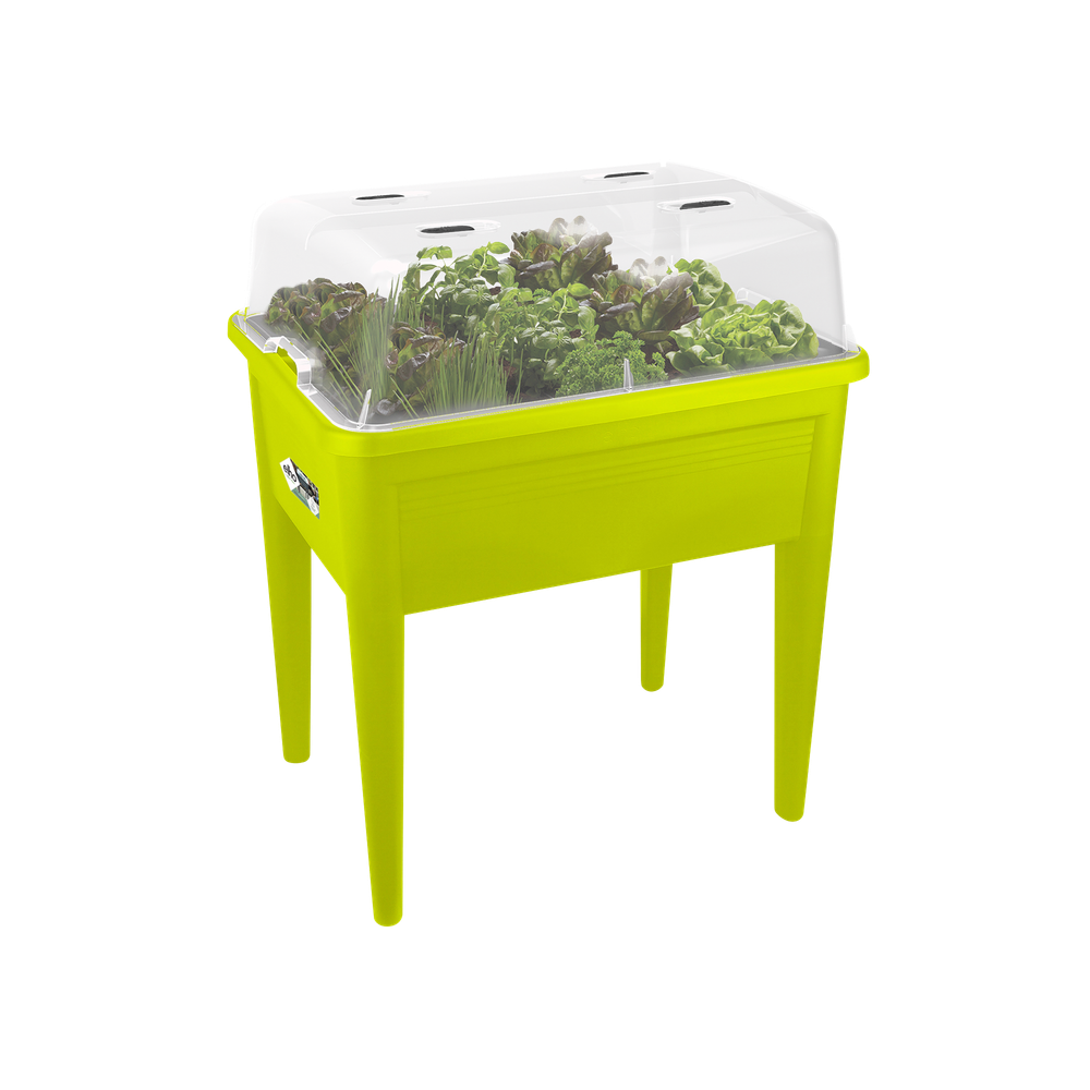 Green Basics Table De Culture Super Xxl