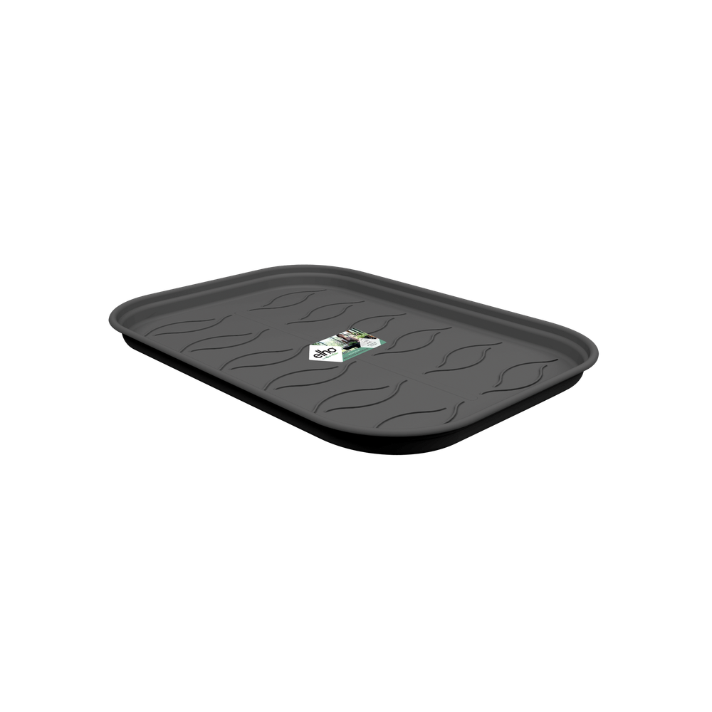 Green Basics Plateau Culture Soucoupe L