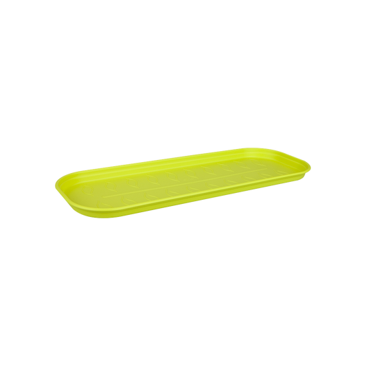 Green Basics Plateau Culture Soucoupe L