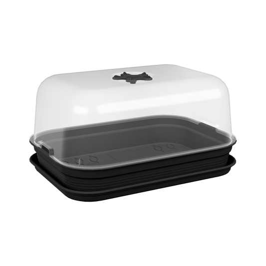 Green Basics Set De Cult Allin1 40