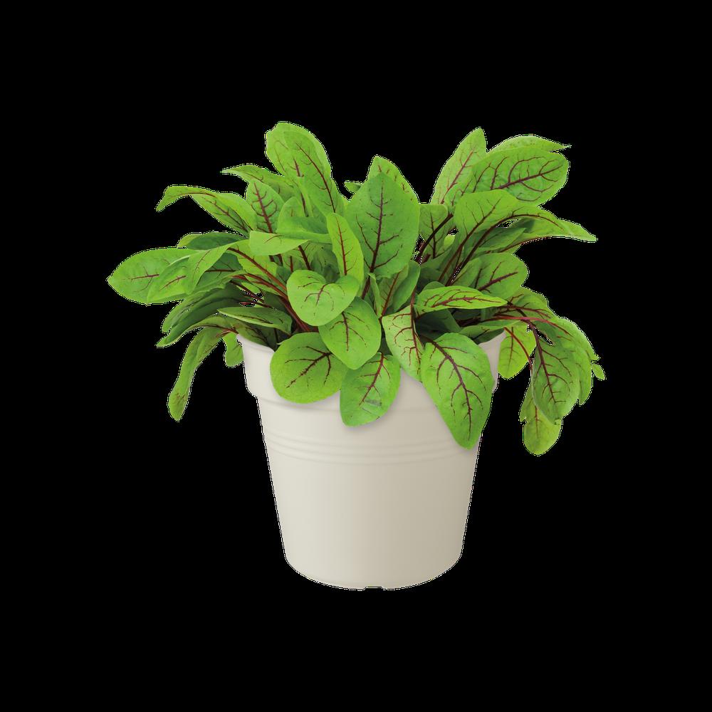 Green Basics Pot De Culture 15