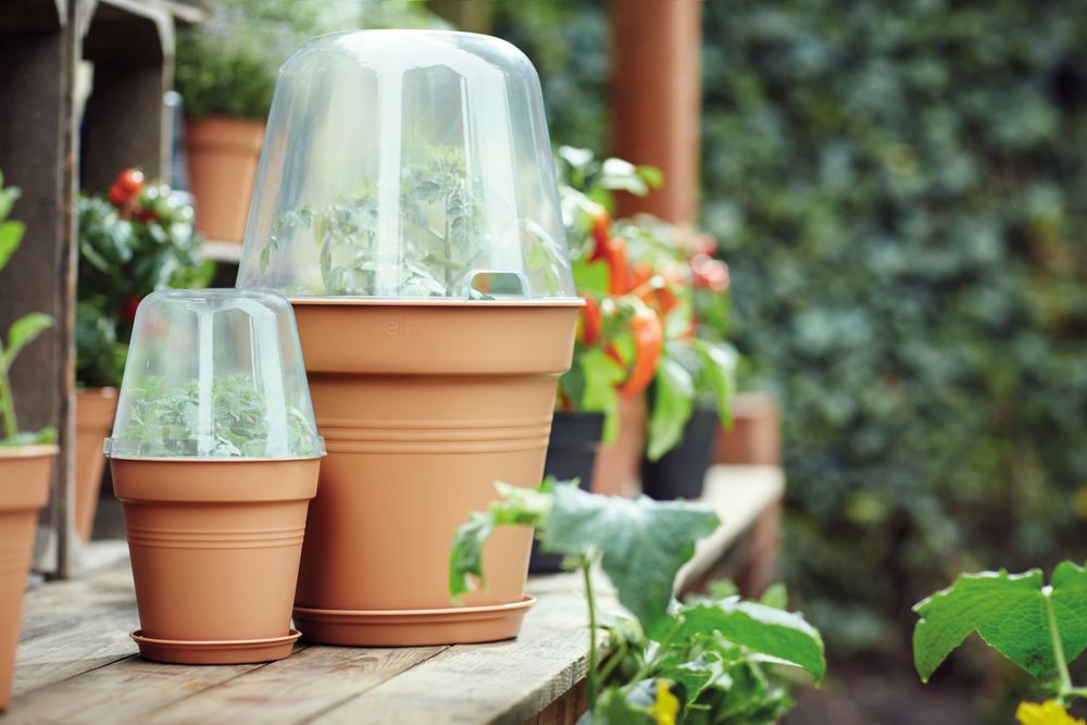 Green Basics Pot De Culture 17