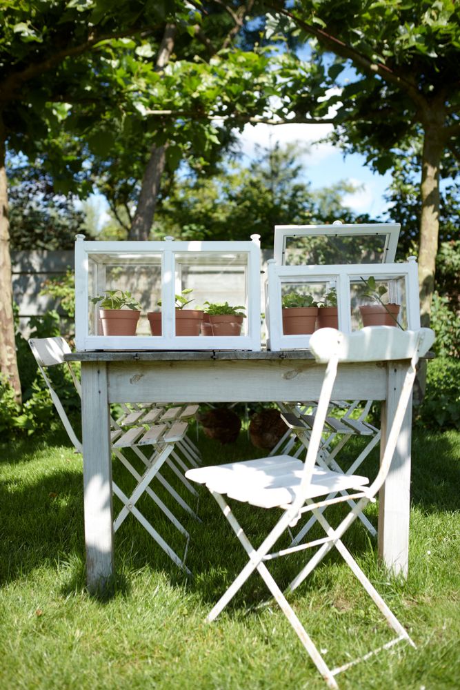 Green Basics Pot De Culture 11