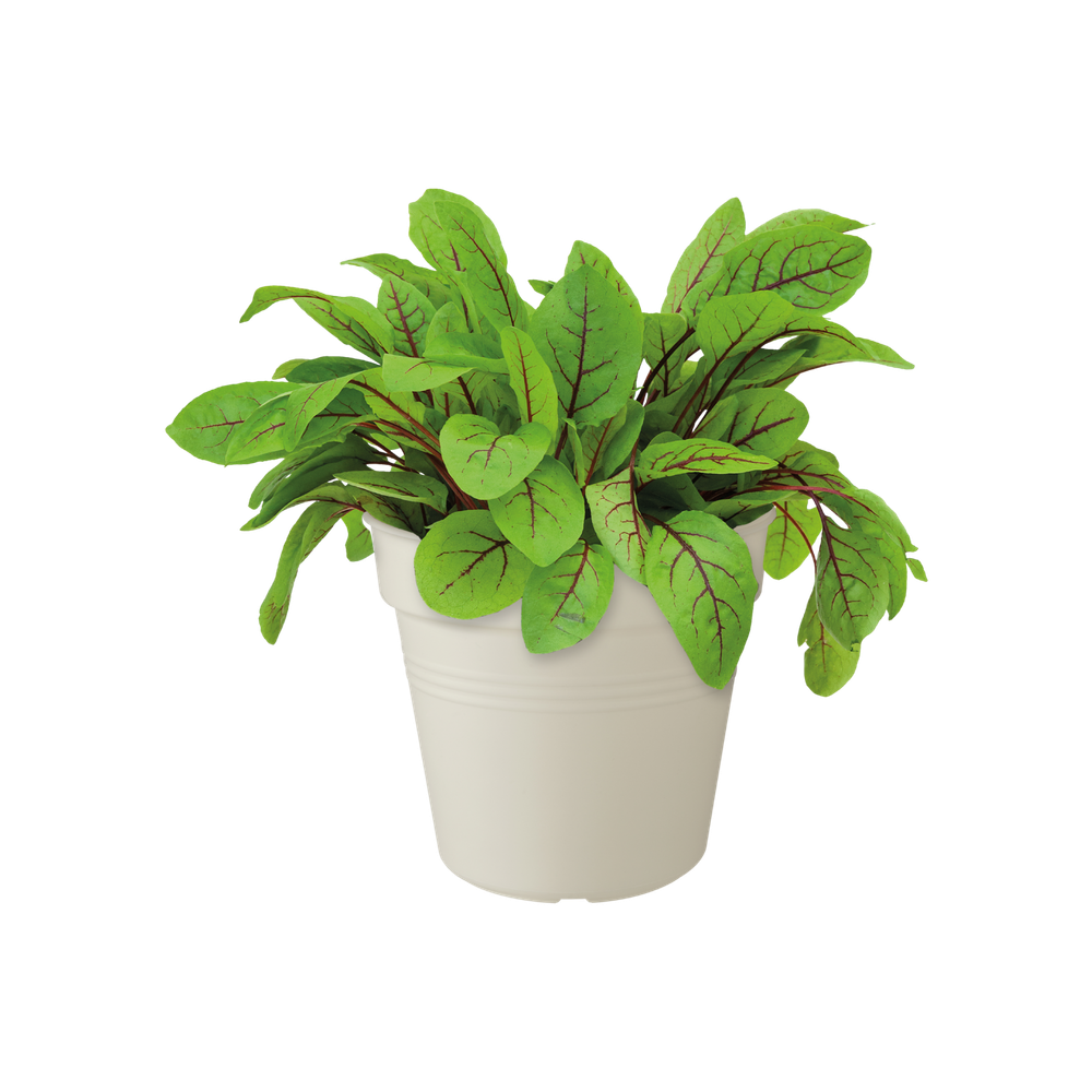 Green Basics Pot De Culture 15