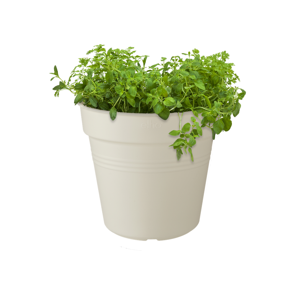 Green Basics Pot De Culture 24