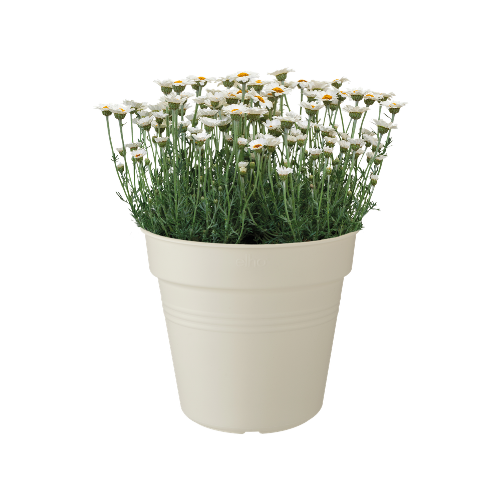 Green Basics Pot De Culture 30