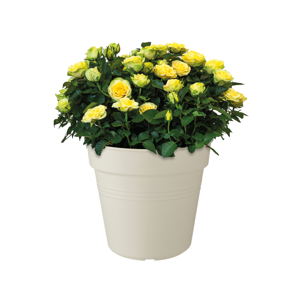 Green Basics Pot De Culture 40