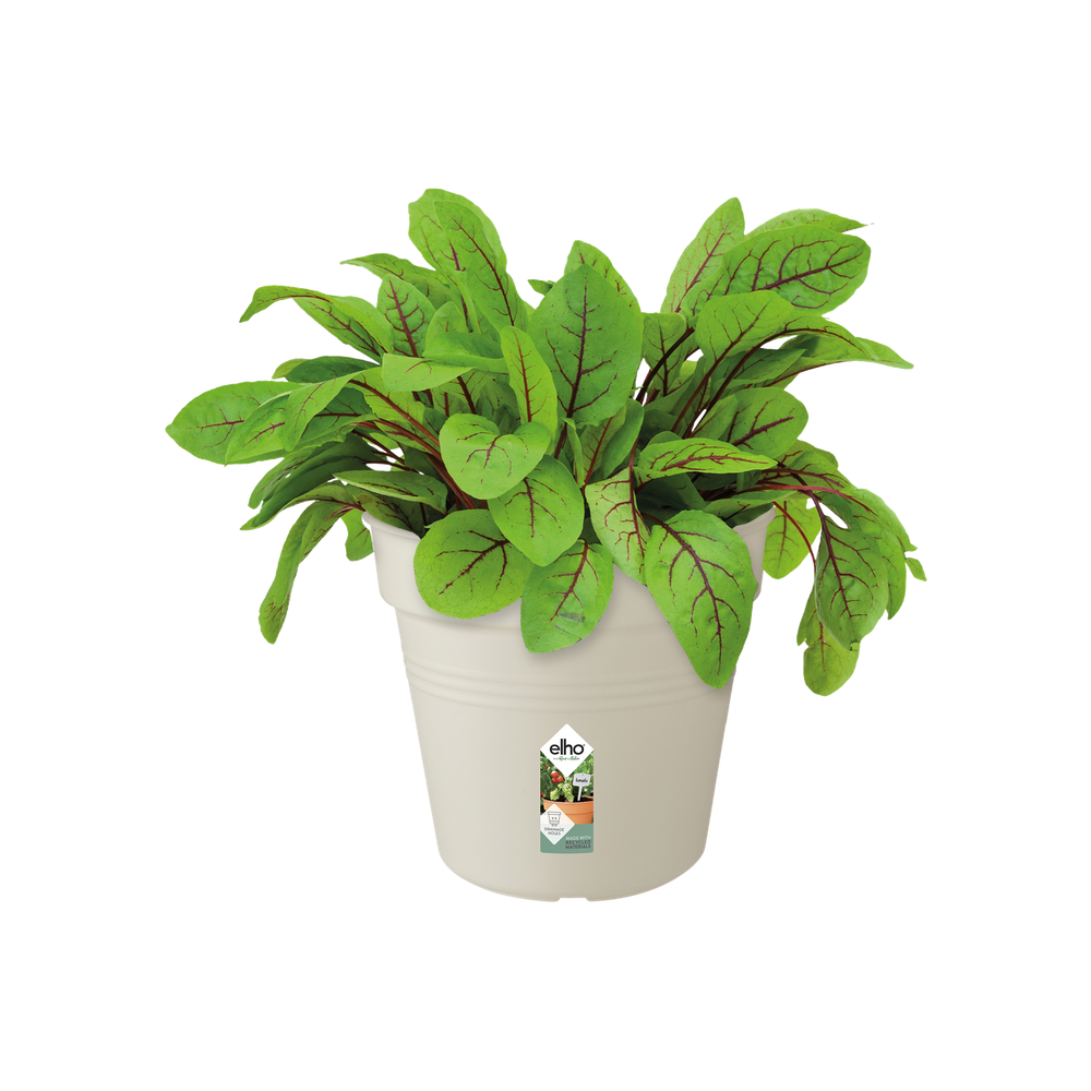 Green Basics Pot De Culture 15