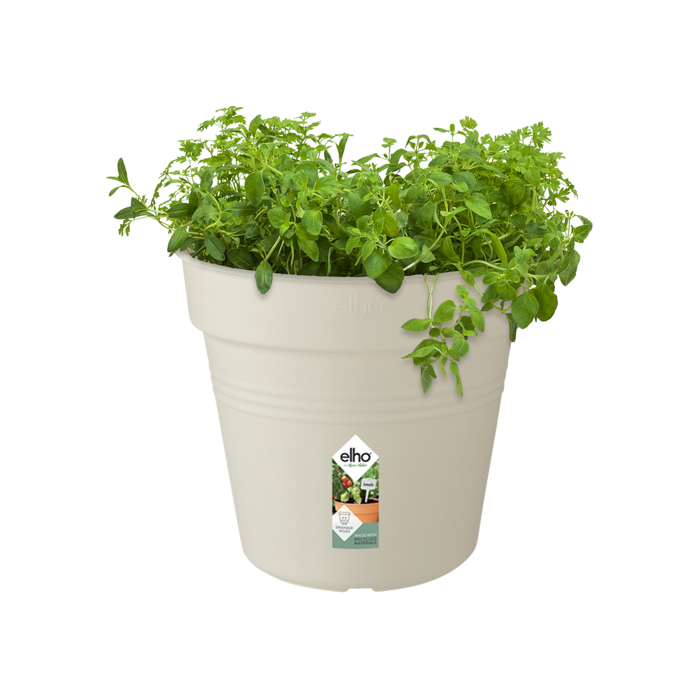 Green Basics Pot De Culture 24