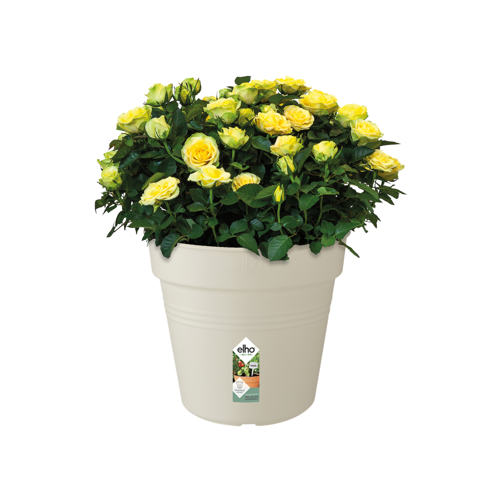 Green Basics Pot De Culture 40