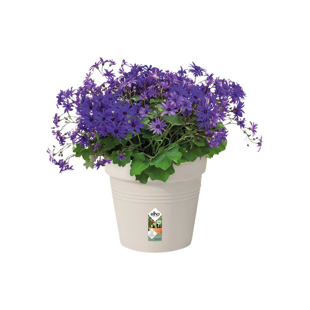 Green Basics Pot De Culture 27