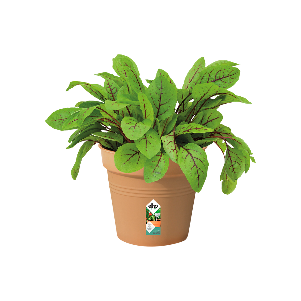 Green Basics Pot De Culture 13