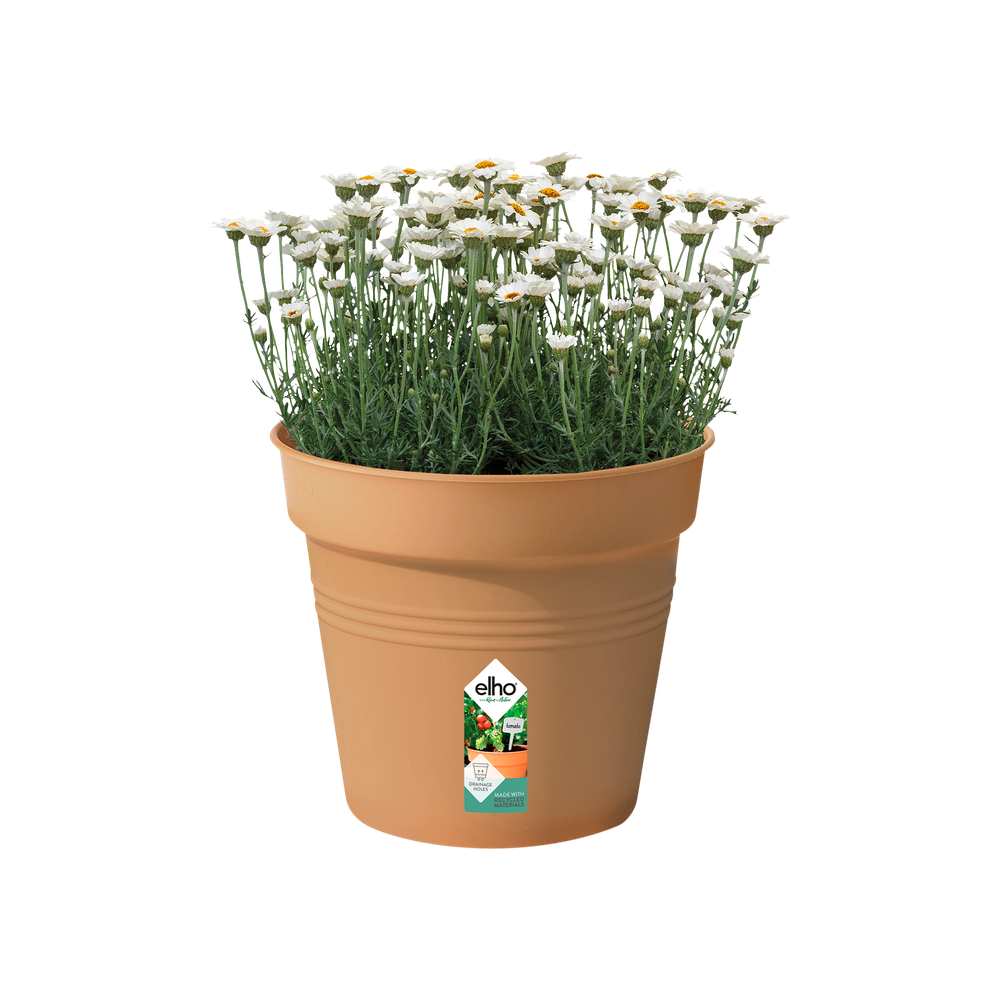 Green Basics Pot De Culture 30