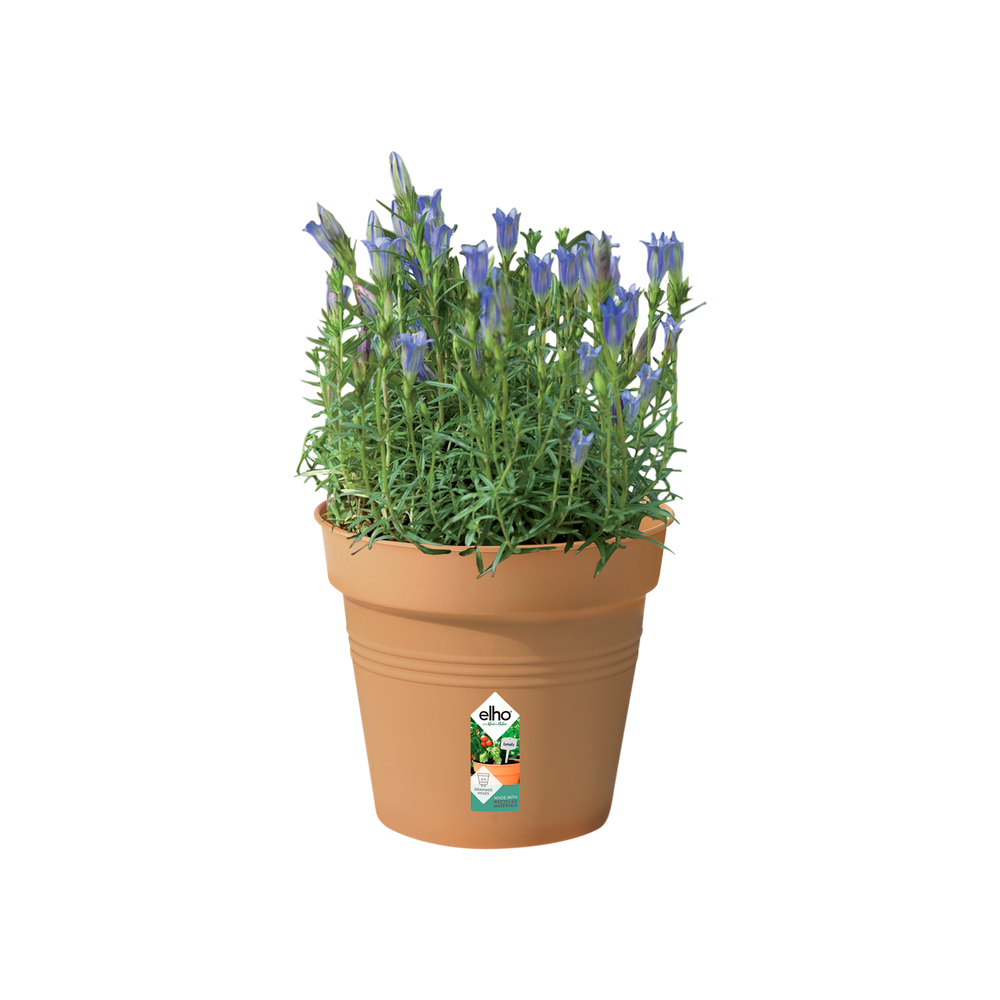 Green Basics Pot De Culture 17