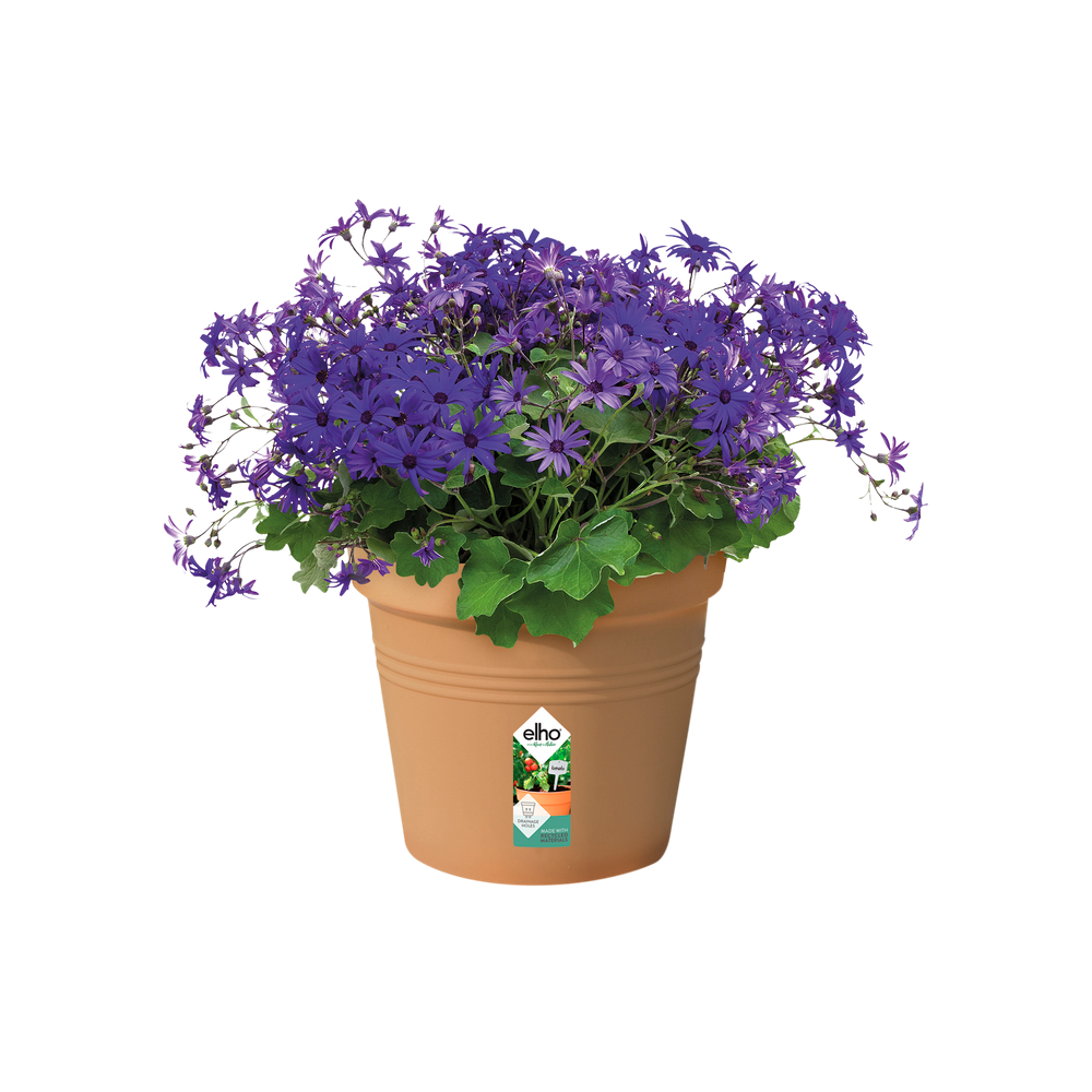 Green Basics Pot De Culture 27