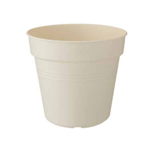 Green Basics Pot De Culture 11