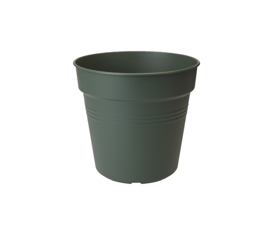 Green Basics Pot De Culture 24