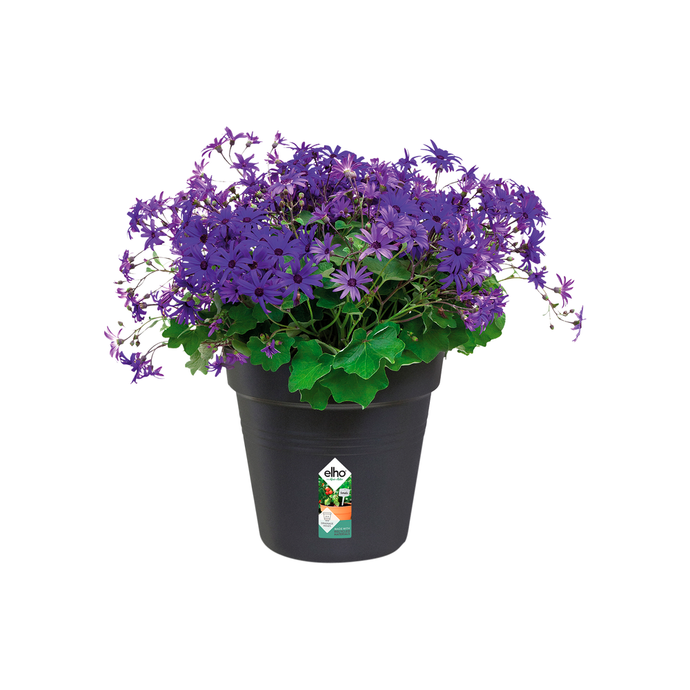 Green Basics Pot De Culture 27