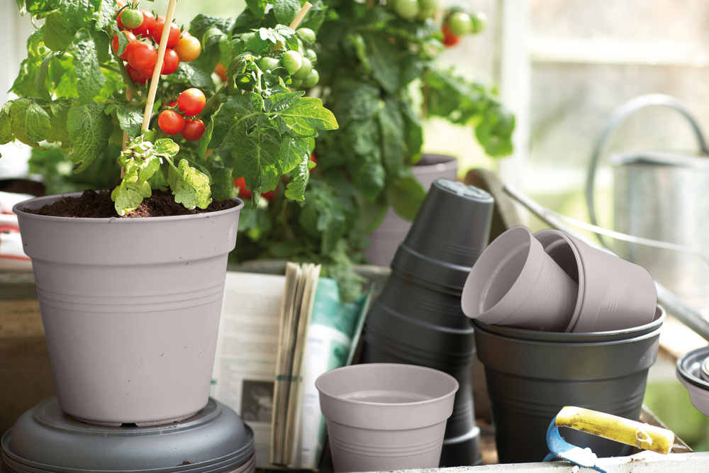 Green Basics Pot De Culture 27