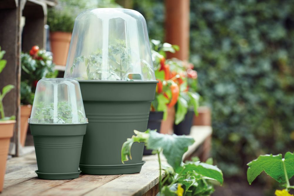 Green Basics Pot De Culture 27