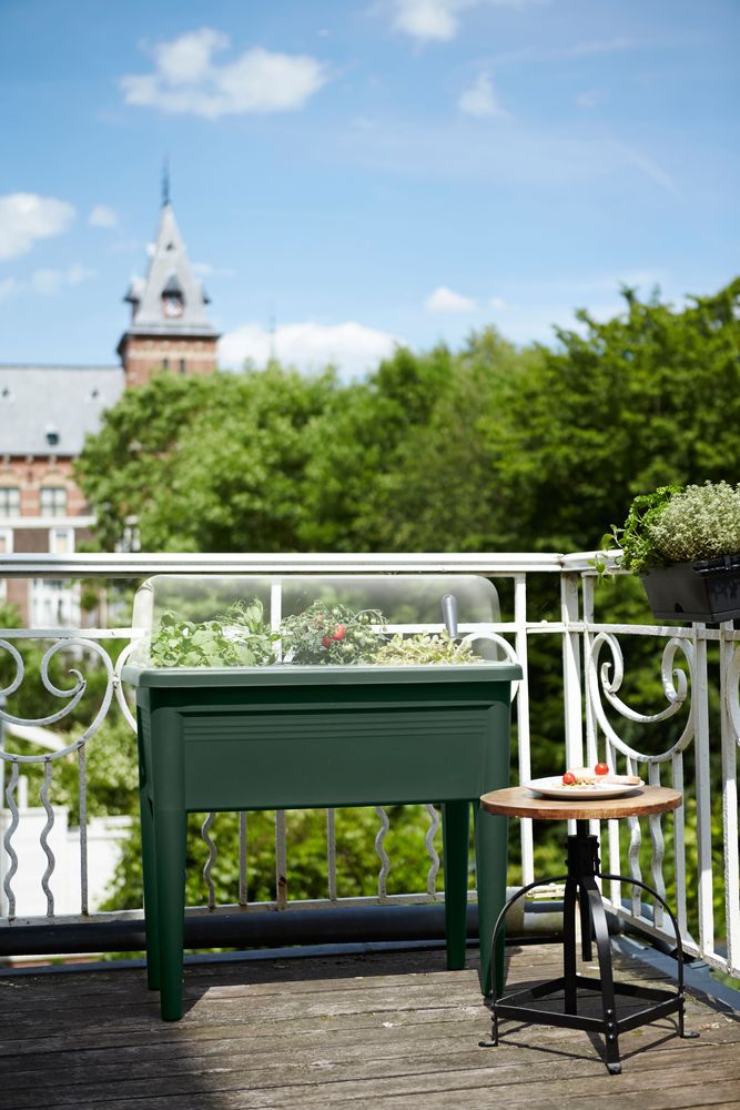 Green Basics Table De Culture Xxl 75