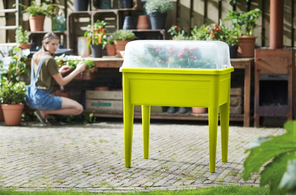 Green Basics Table De Culture Super Xxl