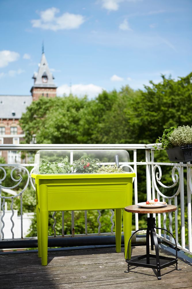 Green Basics Table De Culture Xxl 75