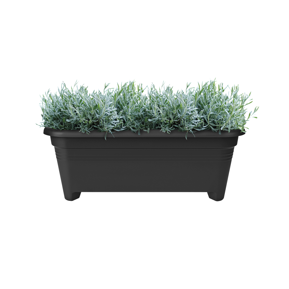 Green Basics Grand 60