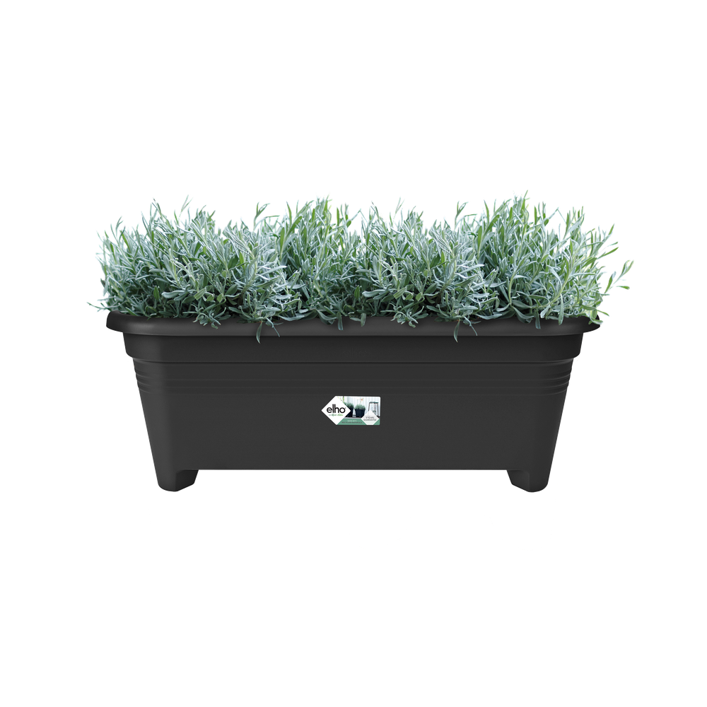 Green Basics Grand 60