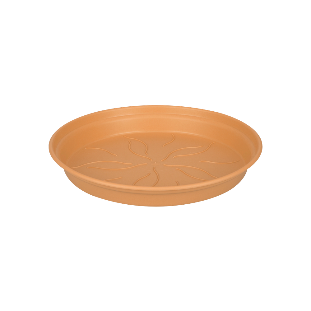 Green Basics Soucoupe 17