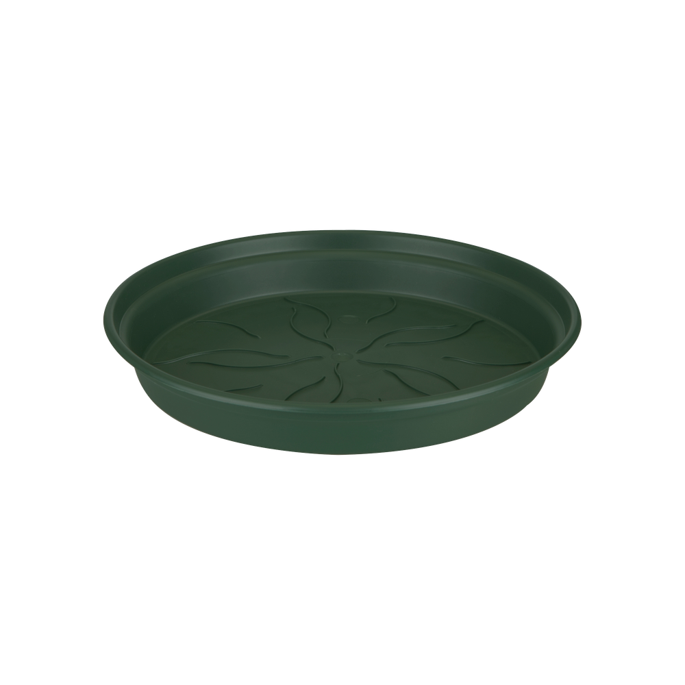 Green Basics Soucoupe 53