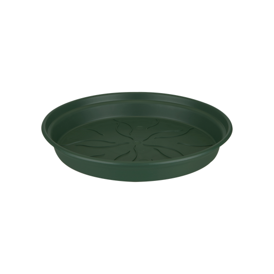 Green Basics Soucoupe 53